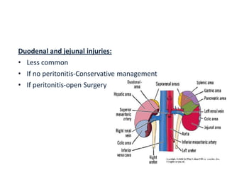 Duodenal and jejunal injuries:
• Less common
• If no peritonitis-Conservative management
• If peritonitis-open Surgery
 