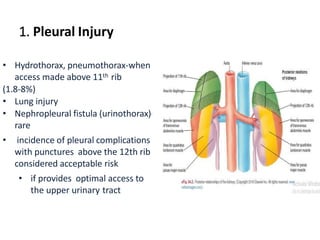 1. Pleural Injury
• Hydrothorax, pneumothorax-when
access made above 11th rib
(1.8-8%)
• Lung injury
• Nephropleural fistula (urinothorax)-
rare
• incidence of pleural complications
with punctures above the 12th rib
considered acceptable risk
• if provides optimal access to
the upper urinary tract
 