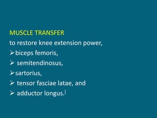 MUSCLE TRANSFER
to restore knee extension power,
biceps femoris,
 semitendinosus,
sartorius,
 tensor fasciae latae, and
 adductor longus.[
 