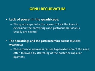 GENU RECURVATUM
• Lack of power in the quadriceps:
– The quadriceps lacks the power to lock the knee in
extension; the hamstrings and gastrocnemiussoleus
usually are normal
• The hamstrings and the gastrocnemius-soleus muscles
weakness:
– These muscle weakness causes hyperextension of the knee
often followed by stretching of the posterior capsular
ligament.
 