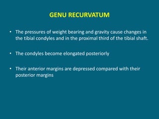 GENU RECURVATUM
• The pressures of weight bearing and gravity cause changes in
the tibial condyles and in the proximal third of the tibial shaft.
• The condyles become elongated posteriorly
• Their anterior margins are depressed compared with their
posterior margins
 