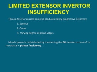 LIMITED EXTENSOR INVERTOR
INSUFFICIENCY
Tibialis Anterior muscle paralysis produces slowly progressive deformity
1. Equinus
2. Cavus
3. Varying degree of plano valgus
Muscle power is redistributed by transferring the EHL tendon to base of 1st
metatarsal + plantar fasciotomy.
 