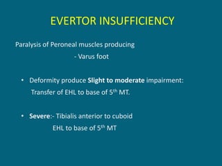 EVERTOR INSUFFICIENCY
Paralysis of Peroneal muscles producing
- Varus foot
• Deformity produce Slight to moderate impairment:
Transfer of EHL to base of 5th MT.
• Severe:- Tibialis anterior to cuboid
EHL to base of 5th MT
 