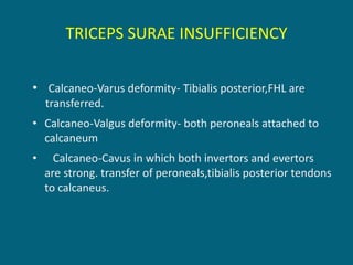 TRICEPS SURAE INSUFFICIENCY
• Calcaneo-Varus deformity- Tibialis posterior,FHL are
transferred.
• Calcaneo-Valgus deformity- both peroneals attached to
calcaneum
• Calcaneo-Cavus in which both invertors and evertors
are strong. transfer of peroneals,tibialis posterior tendons
to calcaneus.
 