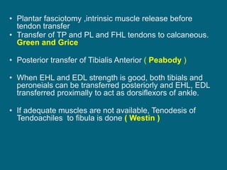 • Plantar fasciotomy ,intrinsic muscle release before
tendon transfer
• Transfer of TP and PL and FHL tendons to calcaneous.
Green and Grice
• Posterior transfer of Tibialis Anterior ( Peabody )
• When EHL and EDL strength is good, both tibials and
peroneials can be transferred posteriorly and EHL, EDL
transferred proximally to act as dorsiflexors of ankle.
• If adequate muscles are not available, Tenodesis of
Tendoachiles to fibula is done ( Westin )
 
