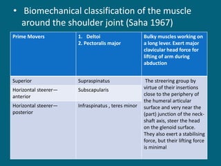 • Biomechanical classification of the muscle
around the shoulder joint (Saha 1967)
Prime Movers 1. Deltoi
2. Pectoralis major
Bulky muscles working on
a long lever. Exert major
clavicular head force for
lifting of arm during
abduction
Superior Supraspinatus The streering group by
virtue of their insertions
close to the periphery of
the humeral articular
surface and very near the
(part) junction of the neck-
shaft axis, steer the head
on the glenoid surface.
They also exert a stabilising
force, but their lifting force
is minimal
Horizontal steerer—
anterior
Subscapularis
Horizontal steerer—
posterior
Infraspinatus , teres minor
 