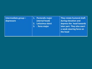 Intermediate group—
depressors
1. Pectoralis major
(sternal head)
2. Latissimus dorsi
3. . Teres major
They rotate humeral shaft
during elevation and
depress the head towards
later part. They also exert
a weak steering force on
the head
 