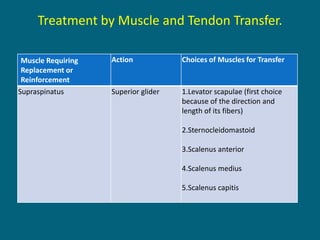 Treatment by Muscle and Tendon Transfer.
Muscle Requiring
Replacement or
Reinforcement
Action Choices of Muscles for Transfer
Supraspinatus Superior glider 1.Levator scapulae (first choice
because of the direction and
length of its fibers)
2.Sternocleidomastoid
3.Scalenus anterior
4.Scalenus medius
5.Scalenus capitis
 