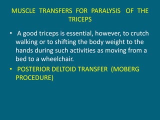 MUSCLE TRANSFERS FOR PARALYSIS OF THE
TRICEPS
• A good triceps is essential, however, to crutch
walking or to shifting the body weight to the
hands during such activities as moving from a
bed to a wheelchair.
• POSTERIOR DELTOID TRANSFER (MOBERG
PROCEDURE)
 