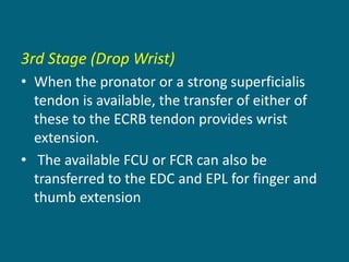 3rd Stage (Drop Wrist)
• When the pronator or a strong superficialis
tendon is available, the transfer of either of
these to the ECRB tendon provides wrist
extension.
• The available FCU or FCR can also be
transferred to the EDC and EPL for finger and
thumb extension
 