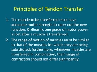 Principles of Tendon Transfer
1. The muscle to be transferred must have
adequate motor strength to carry out the new
function. Ordinarily, one grade of motor power
is lost after a muscle is transferred.
2. The range of motion of muscles must be similar
to that of the muscles for which they are being
substituted; furthermore, whenever muscles are
transferred in combination, their range of
contraction should not differ significantly.
 