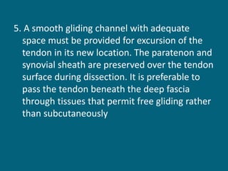 5. A smooth gliding channel with adequate
space must be provided for excursion of the
tendon in its new location. The paratenon and
synovial sheath are preserved over the tendon
surface during dissection. It is preferable to
pass the tendon beneath the deep fascia
through tissues that permit free gliding rather
than subcutaneously
 