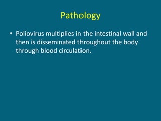 Pathology
• Poliovirus multiplies in the intestinal wall and
then is disseminated throughout the body
through blood circulation.
 
