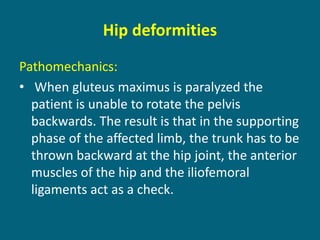 Pathomechanics:
• When gluteus maximus is paralyzed the
patient is unable to rotate the pelvis
backwards. The result is that in the supporting
phase of the affected limb, the trunk has to be
thrown backward at the hip joint, the anterior
muscles of the hip and the iliofemoral
ligaments act as a check.
Hip deformities
 