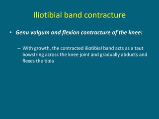 • Genu valgum and flexion contracture of the knee:
– With growth, the contracted iliotibial band acts as a taut
bowstring across the knee joint and gradually abducts and
flexes the tibia
Iliotibial band contracture
 