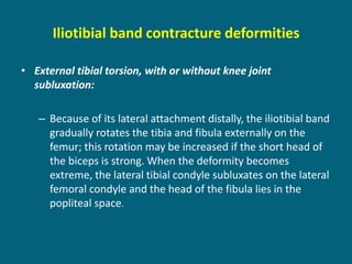 Iliotibial band contracture deformities
• External tibial torsion, with or without knee joint
subluxation:
– Because of its lateral attachment distally, the iliotibial band
gradually rotates the tibia and fibula externally on the
femur; this rotation may be increased if the short head of
the biceps is strong. When the deformity becomes
extreme, the lateral tibial condyle subluxates on the lateral
femoral condyle and the head of the fibula lies in the
popliteal space.
 