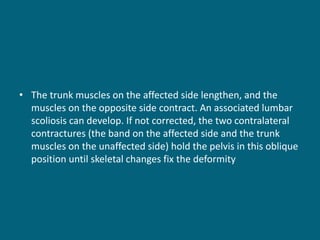 • The trunk muscles on the affected side lengthen, and the
muscles on the opposite side contract. An associated lumbar
scoliosis can develop. If not corrected, the two contralateral
contractures (the band on the affected side and the trunk
muscles on the unaffected side) hold the pelvis in this oblique
position until skeletal changes fix the deformity
 