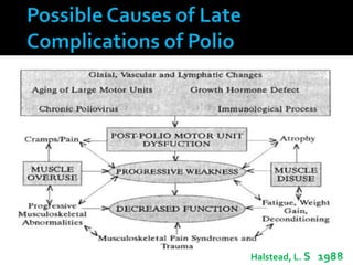 10
Halstead, L. S 1988

 