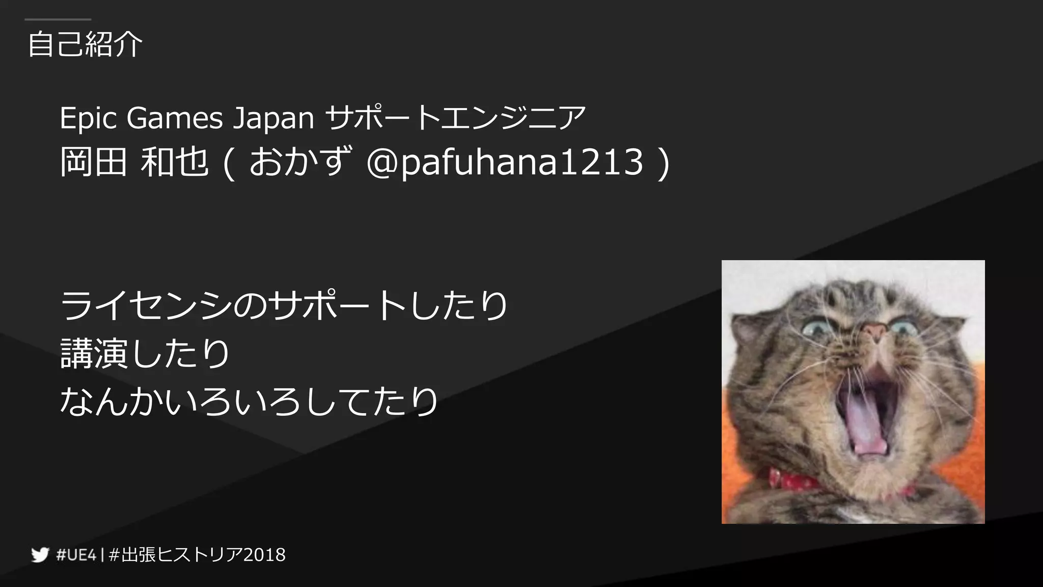 #出張ヒストリア2018#出張ヒストリア2018
自己紹介
Epic Games Japan サポートエンジニア
岡田 和也 ( おかず @pafuhana1213 )
ライセンシのサポートしたり
講演したり
なんかいろいろしてたり
 