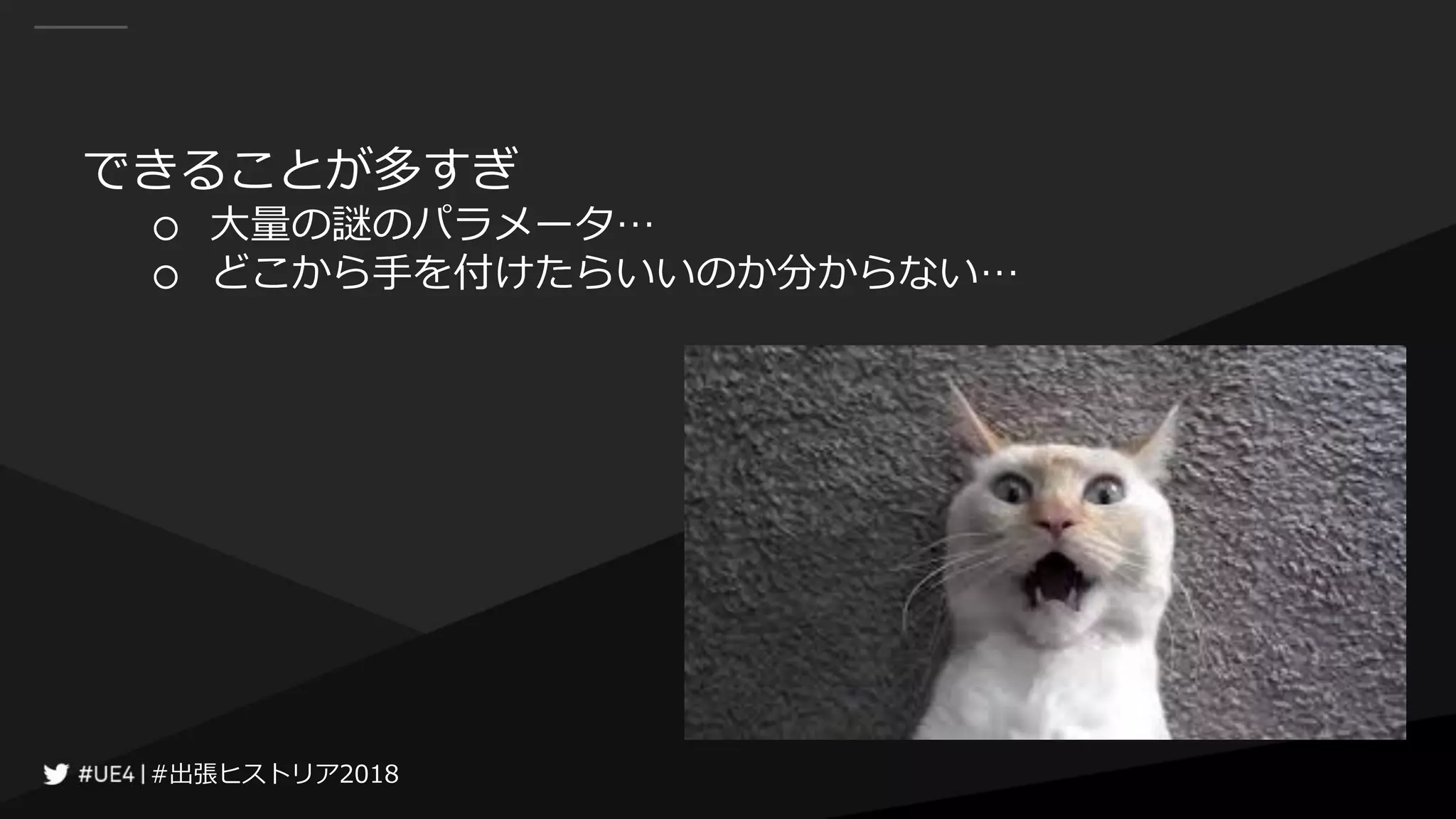 #出張ヒストリア2018#出張ヒストリア2018
できることが多すぎ
○ 大量の謎のパラメータ…
○ どこから手を付けたらいいのか分からない…
 