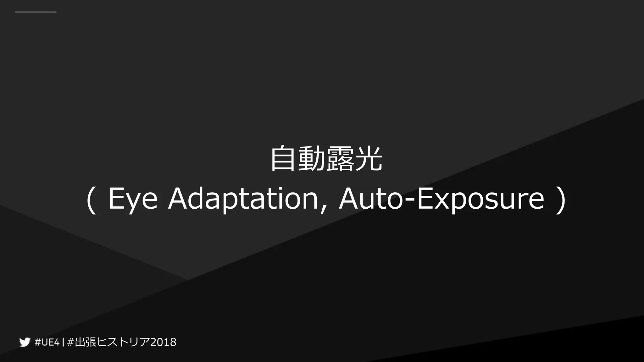 #出張ヒストリア2018#出張ヒストリア2018
自動露光
( Eye Adaptation, Auto-Exposure )
 