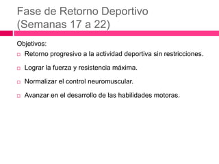 Fase de Retorno Deportivo
(Semanas 17 a 22)
Objetivos:


Retorno progresivo a la actividad deportiva sin restricciones.



Lograr la fuerza y resistencia máxima.



Normalizar el control neuromuscular.



Avanzar en el desarrollo de las habilidades motoras.

 