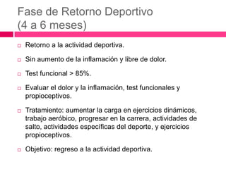 Fase de Retorno Deportivo
(4 a 6 meses)


Retorno a la actividad deportiva.



Sin aumento de la inflamación y libre de dolor.



Test funcional > 85%.



Evaluar el dolor y la inflamación, test funcionales y
propioceptivos.



Tratamiento: aumentar la carga en ejercicios dinámicos,
trabajo aeróbico, progresar en la carrera, actividades de
salto, actividades específicas del deporte, y ejercicios
propioceptivos.



Objetivo: regreso a la actividad deportiva.

 