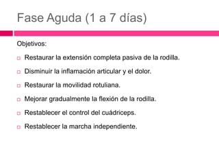 Fase Aguda (1 a 7 días)
Objetivos:


Restaurar la extensión completa pasiva de la rodilla.



Disminuir la inflamación articular y el dolor.



Restaurar la movilidad rotuliana.



Mejorar gradualmente la flexión de la rodilla.



Restablecer el control del cuádriceps.



Restablecer la marcha independiente.

 
