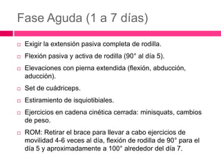 Fase Aguda (1 a 7 días)


Exigir la extensión pasiva completa de rodilla.



Flexión pasiva y activa de rodilla (90° al día 5).



Elevaciones con pierna extendida (flexión, abducción,
aducción).



Set de cuádriceps.



Estiramiento de isquiotibiales.



Ejercicios en cadena cinética cerrada: minisquats, cambios
de peso.



ROM: Retirar el brace para llevar a cabo ejercicios de
movilidad 4-6 veces al día, flexión de rodilla de 90° para el
día 5 y aproximadamente a 100° alrededor del día 7.

 