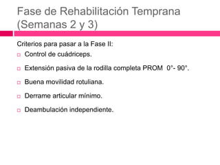 Fase de Rehabilitación Temprana
(Semanas 2 y 3)
Criterios para pasar a la Fase II:


Control de cuádriceps.



Extensión pasiva de la rodilla completa PROM 0°- 90°.



Buena movilidad rotuliana.



Derrame articular mínimo.



Deambulación independiente.

 