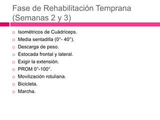 Fase de Rehabilitación Temprana
(Semanas 2 y 3)


Isométricos de Cuádriceps.



Media sentadilla (0°- 40°).



Descarga de peso.



Estocada frontal y lateral.



Exigir la extensión.



PROM 0°-100°.



Movilización rotuliana.



Bicicleta.



Marcha.

 