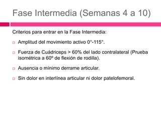 Fase Intermedia (Semanas 4 a 10)
Criterios para entrar en la Fase Intermedia:


Amplitud del movimiento activo 0°-115°.



Fuerza de Cuádriceps > 60% del lado contralateral (Prueba
isométrica a 60º de flexión de rodilla).



Ausencia o mínimo derrame articular.



Sin dolor en interlínea articular ni dolor patelofemoral.

 