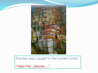 The lion was caught in the hunter’s net!

“Help me…please….”
 