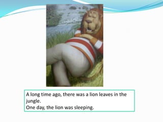 A long time ago, there was a lion leaves in the
jungle.
One day, the lion was sleeping.
 