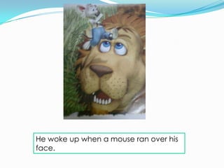 He woke up when a mouse ran over his
face.
 