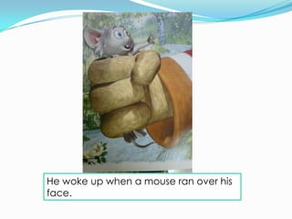 He woke up when a mouse ran over his
face.
 