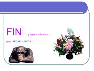 FIN …         y espero tu llamada…


para PECAR JUNTOS…
 