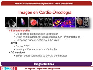 Lo mejor del Congreso SEC Zaragoza 2016
Imagen Cardiaca
Mesa 308: Cardiotoxicidad inducida por fármacos. Teresa López Fern...