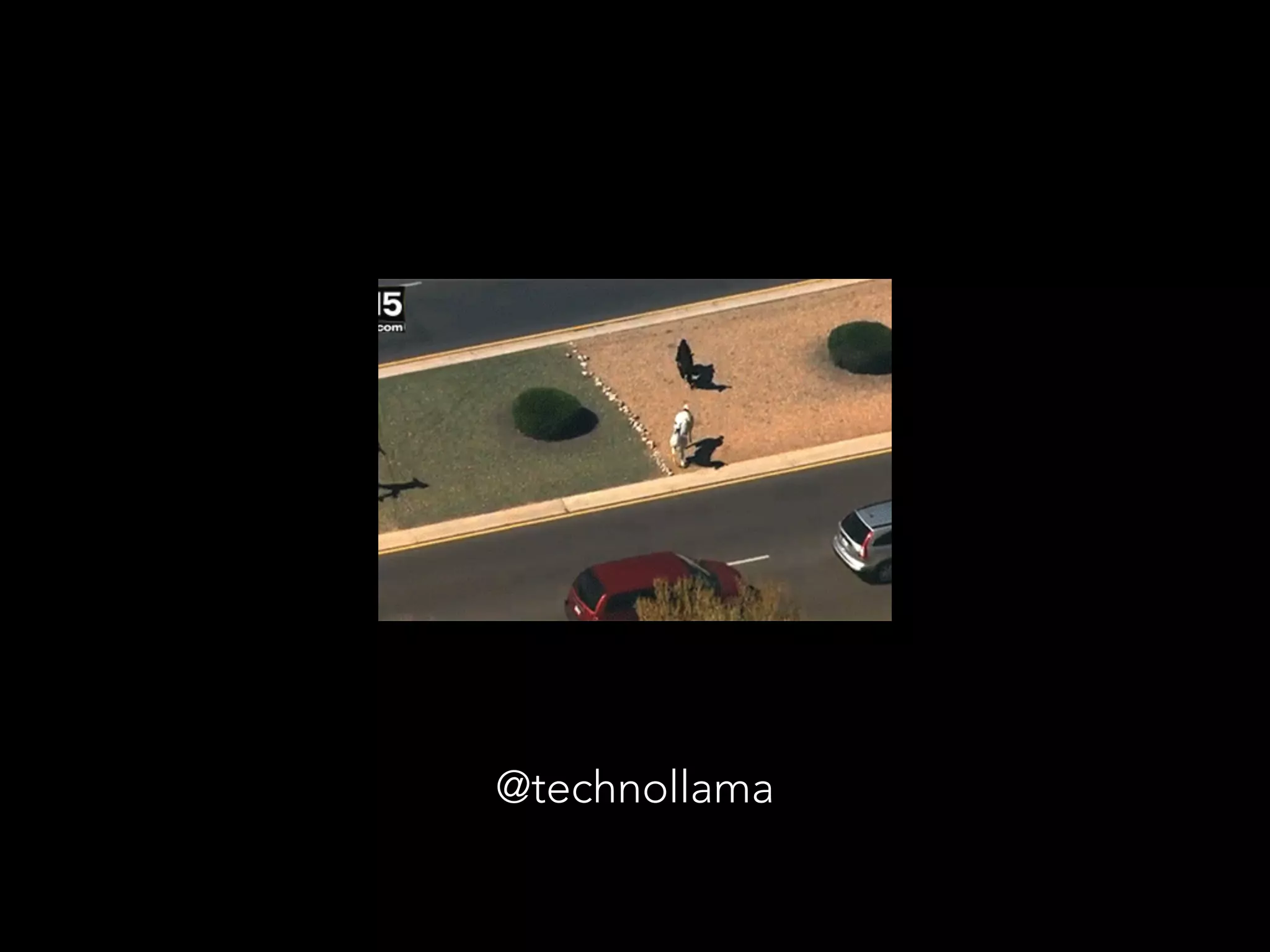 @technollama