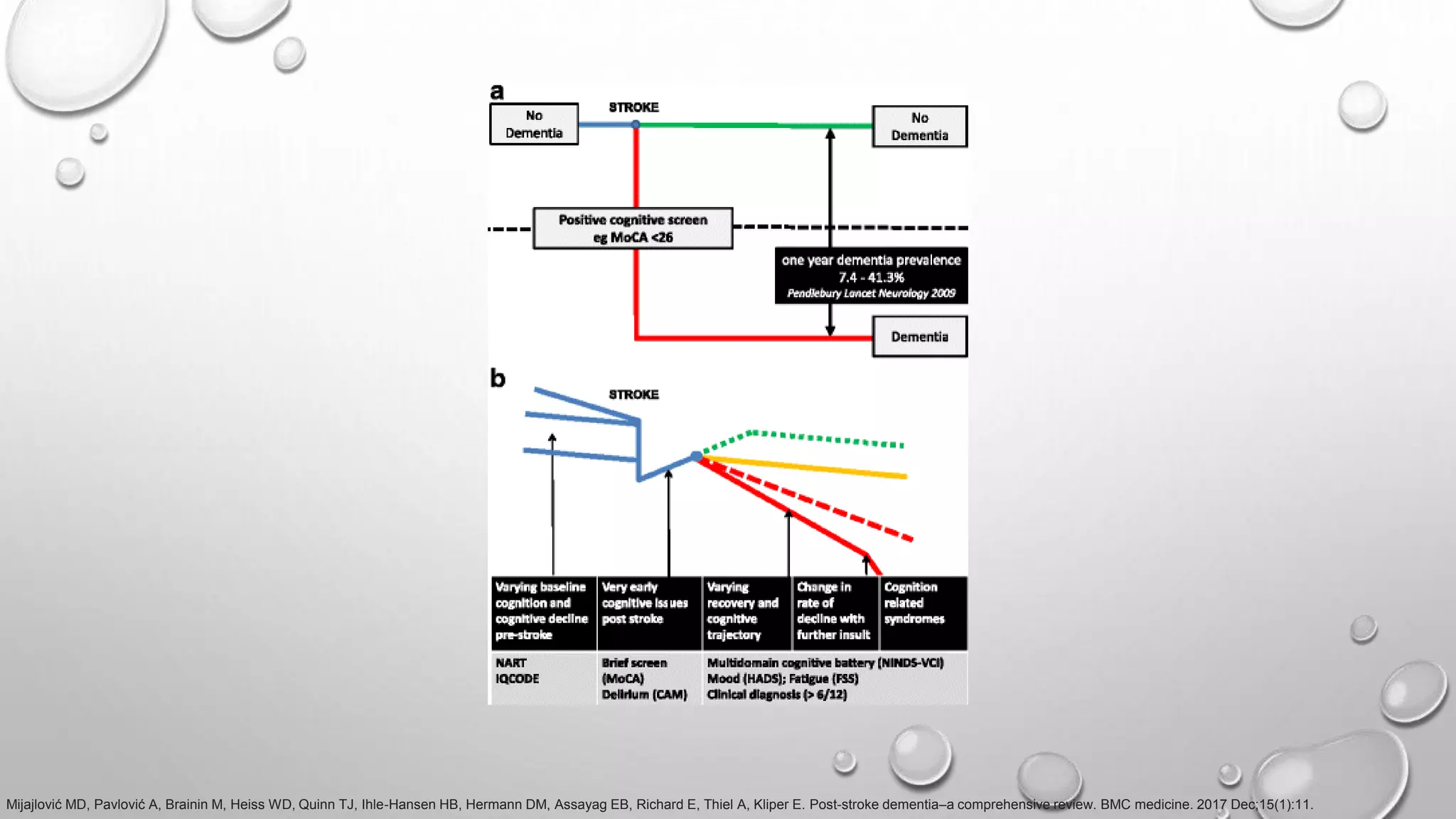 Post Stroke Dementia | PPTX