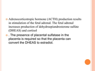  Adrenocorticotropic hormone (ACTH) production results
in stimulation of the fetal adrenal. The fetal adrenal
increases production of dehydroepiandrosterone sulfate
(DHEAS) and cortisol
 . The presence of placental sulfatase in the
placenta is required so that the placenta can
convert the DHEAS to estradiol.
 