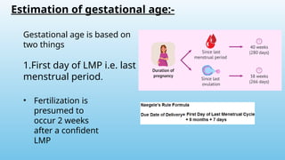 Estimation of gestational age:-
Gestational age is based on
two things
1.First day of LMP i.e. last
menstrual period.
• Fertilization is
presumed to
occur 2 weeks
after a confident
LMP
 