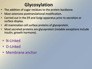 Glycosylation 
• The addition of sugar residues to the protein backbone. 
• Most extensive posttranslational modification. 
• Carried out in the ER and Golgi apparatus prior to secretion or 
surface display. 
• All mammalian cell surface proteins of glycoprotein. 
• Most secreted proteins are glycoprotein (notable exceptions include 
insulin, growth hormone). 
• N-Linked 
• O-Linked 
• Membrane anchor 
 