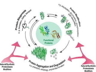 Post tranlational modification