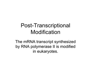 Post-Transcriptional Modification The mRNA transcript synthesized by RNA polymerase II is modified in eukaryotes. 