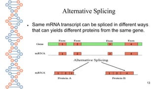 Post transcriptional gene regulation.pptx