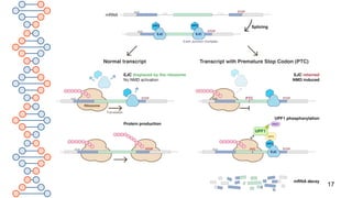 Post transcriptional gene regulation.pptx