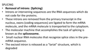 SPLICING
• Removal of introns (Splicing)
• Introns or intervening sequences are the RNA sequences which do
not code for the proteins.
• These introns are removed from the primary transcript in the
nucleus, exons (coding sequences) are ligated to form the mRNA
molecule, and the mRNA molecule is transported to the cytoplasm.
• The molecular machine that accomplishes the task of splicing is
known as the spliceosome.
• Small nuclear RNA molecules that recognize splice sites in the pre-
mRNA sequence.
• The excised intron is released as a "lariat" structure, which is
degraded
 