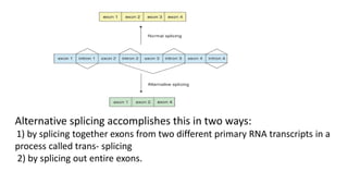 Alternative splicing accomplishes this in two ways:
1) by splicing together exons from two different primary RNA transcripts in a
process called trans- splicing
2) by splicing out entire exons.
 