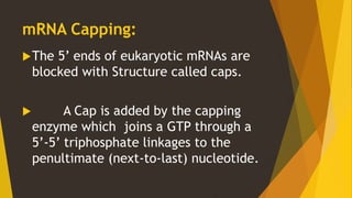 Post transcriptional modification | PPTX